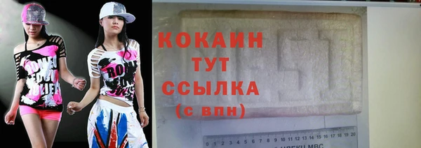 мдпв Гусь-Хрустальный
