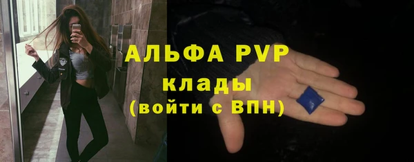 мдпв Гусь-Хрустальный