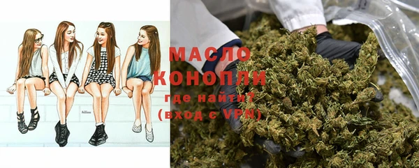 мдпв Гусь-Хрустальный