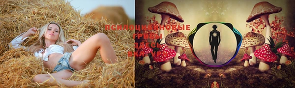 мдпв Гусь-Хрустальный