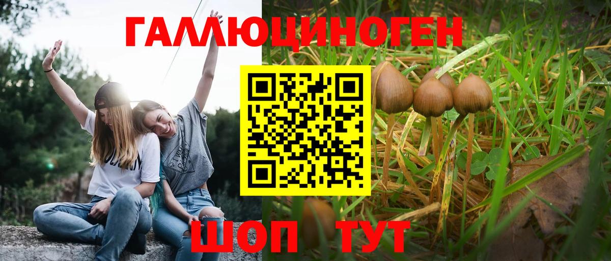 Сыктывкар  Галлюциногенные грибы мухоморы  Вход с VPN  Псилоцибиновые грибы ЛСД 